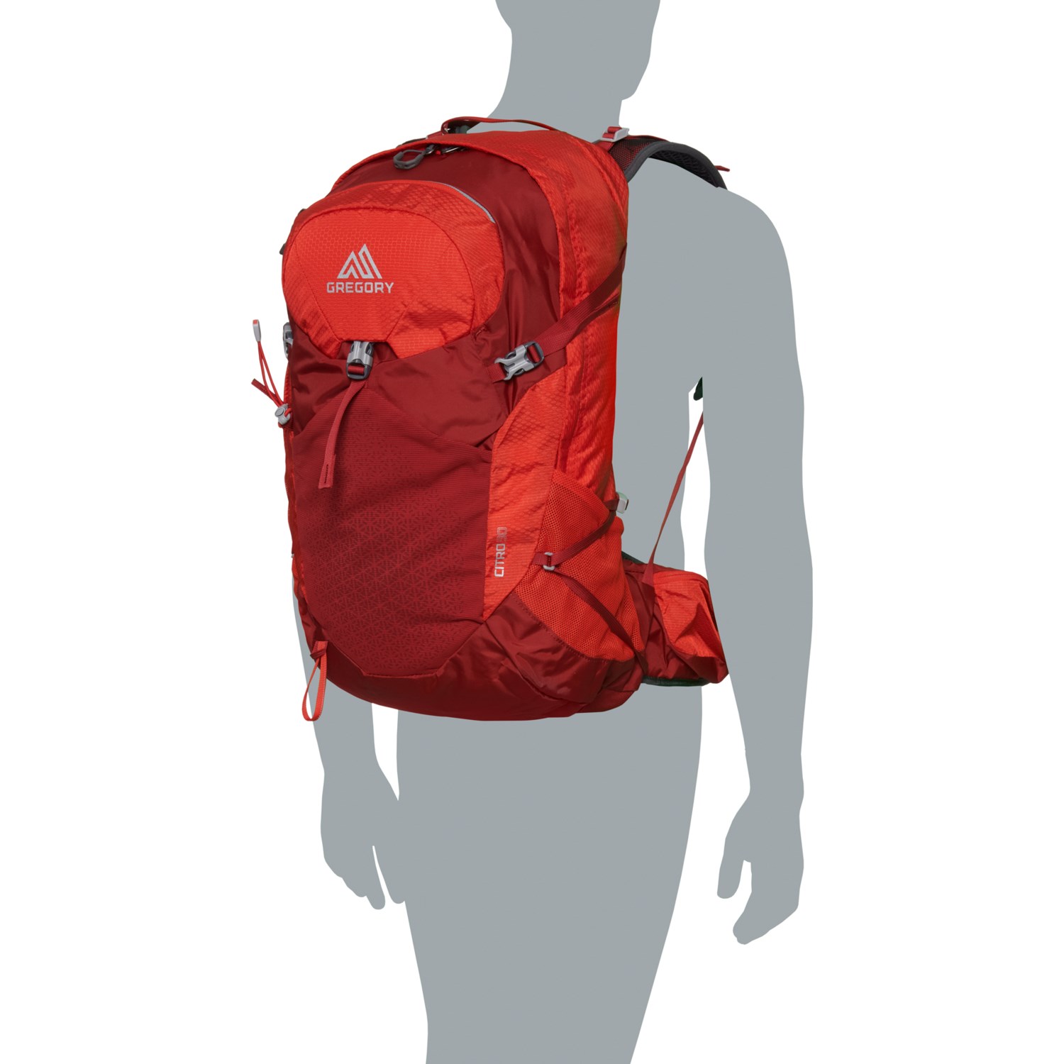Gregory Citro 30 L Backpack Internal Frame Save 38