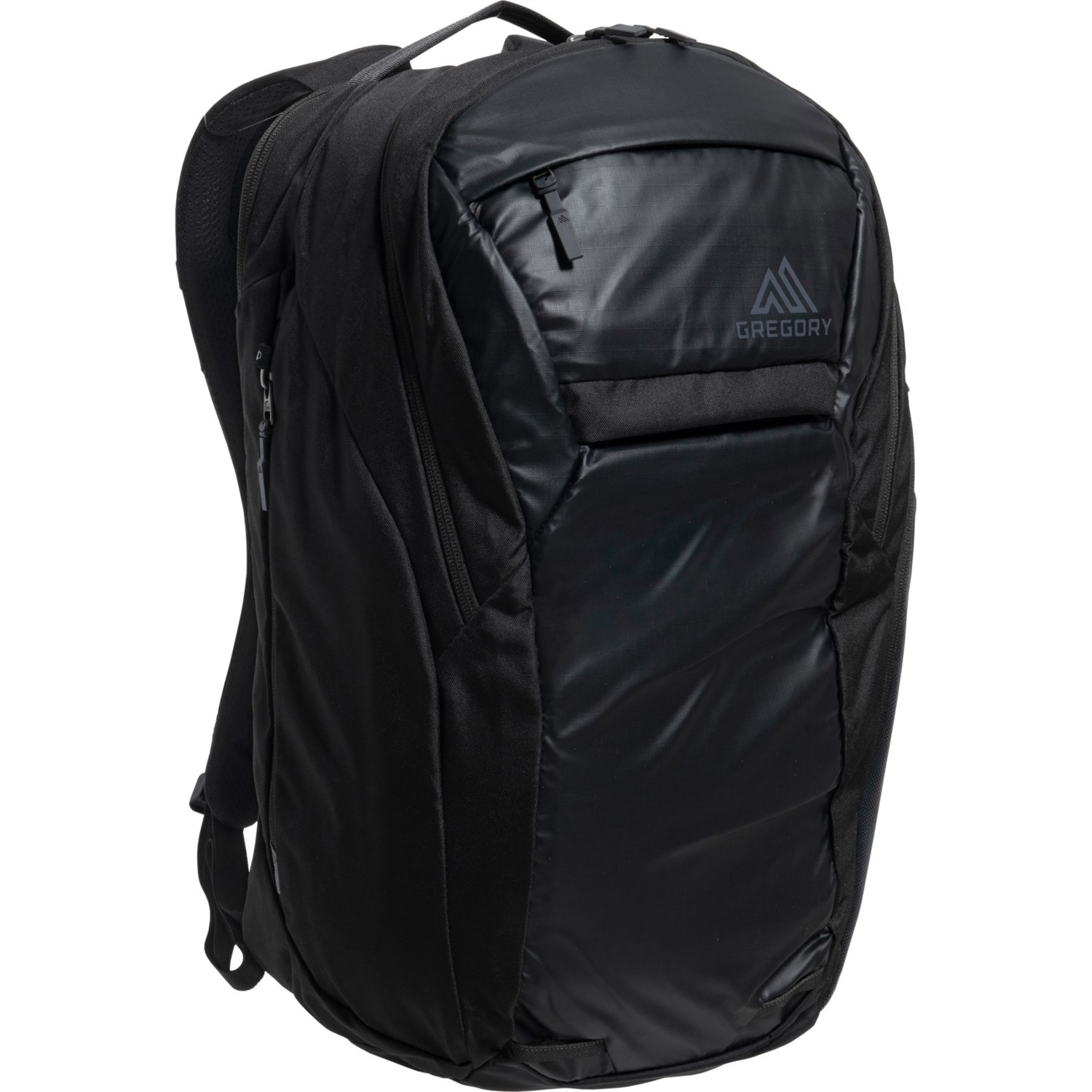 GREGORY RESIN 22L ブラックリュック Resin 22