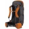 163FC_2 Gregory Stout 45 Backpack