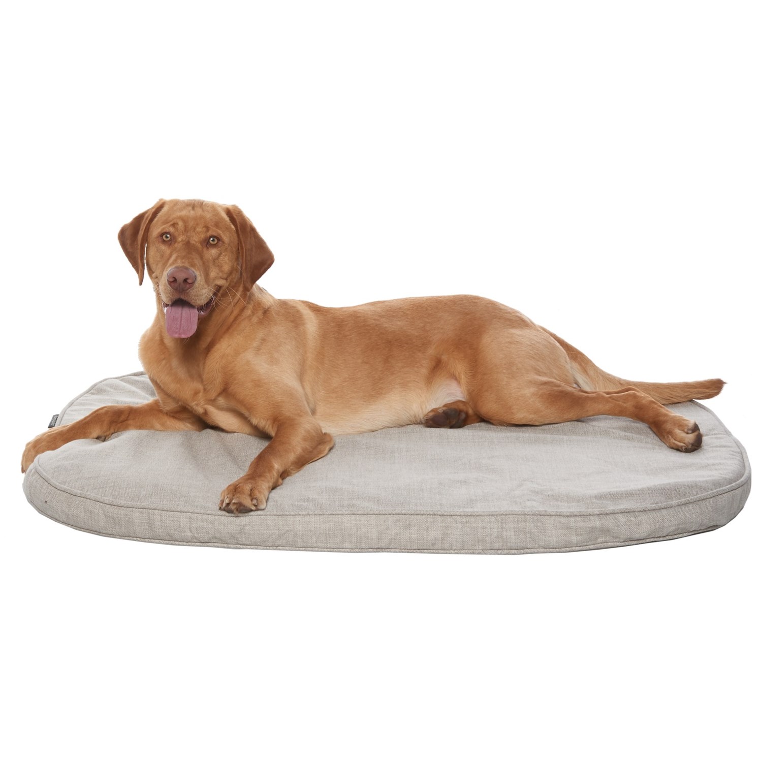 Harry Barker Harry’s Favorite Futon Dog Bed 45x35” Save 71