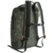 233JN_2 High Sierra Avondale 19L Backpack