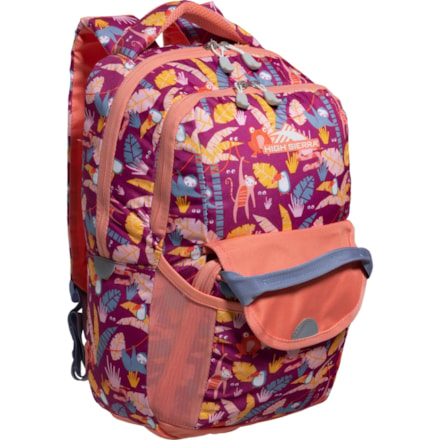 17 inch laptop backpack north face The North Face Borealis Mini Backpack
