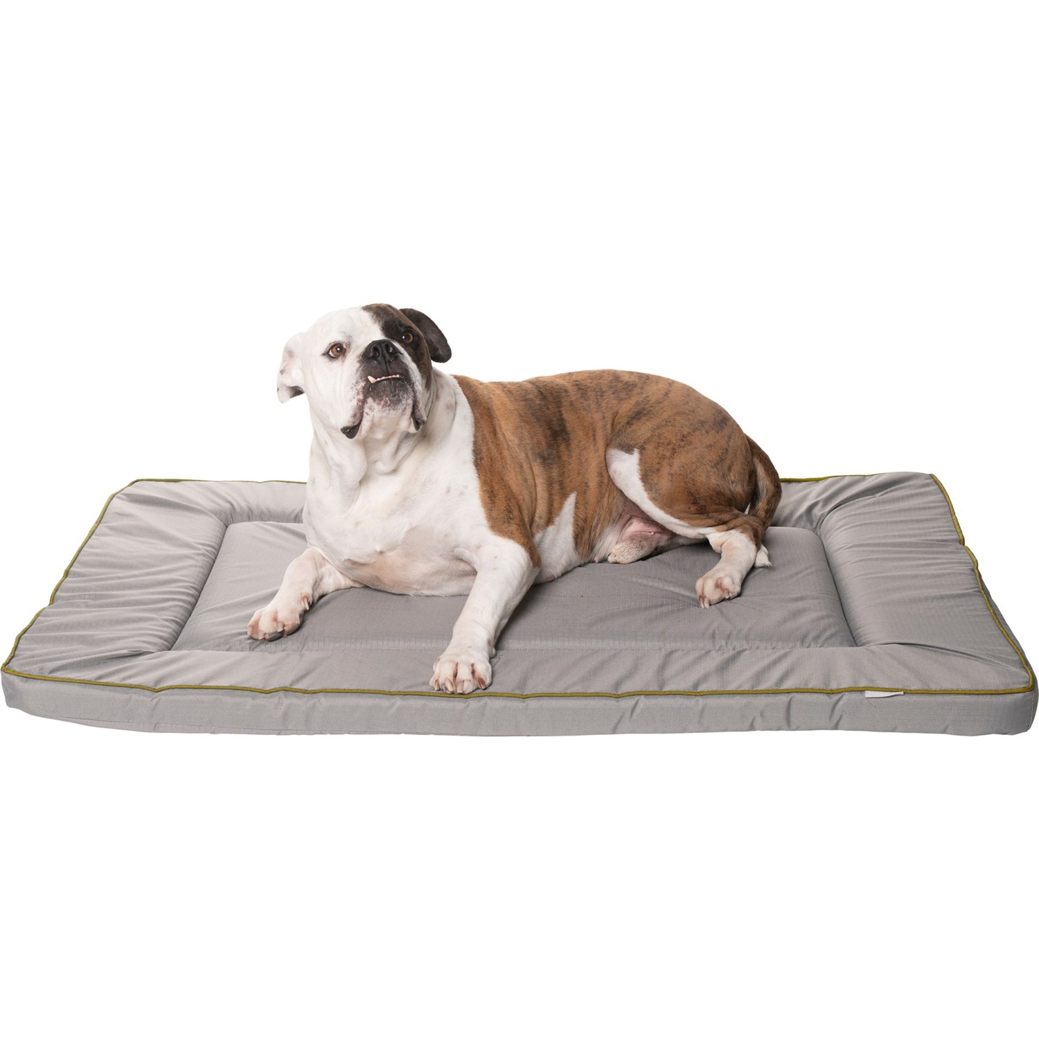 extra large crate mat