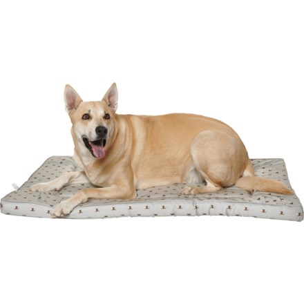 house of paws bed