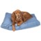166JX_2 Humane Society Live Love Bark Rectangle Dog Bed - 40x28”