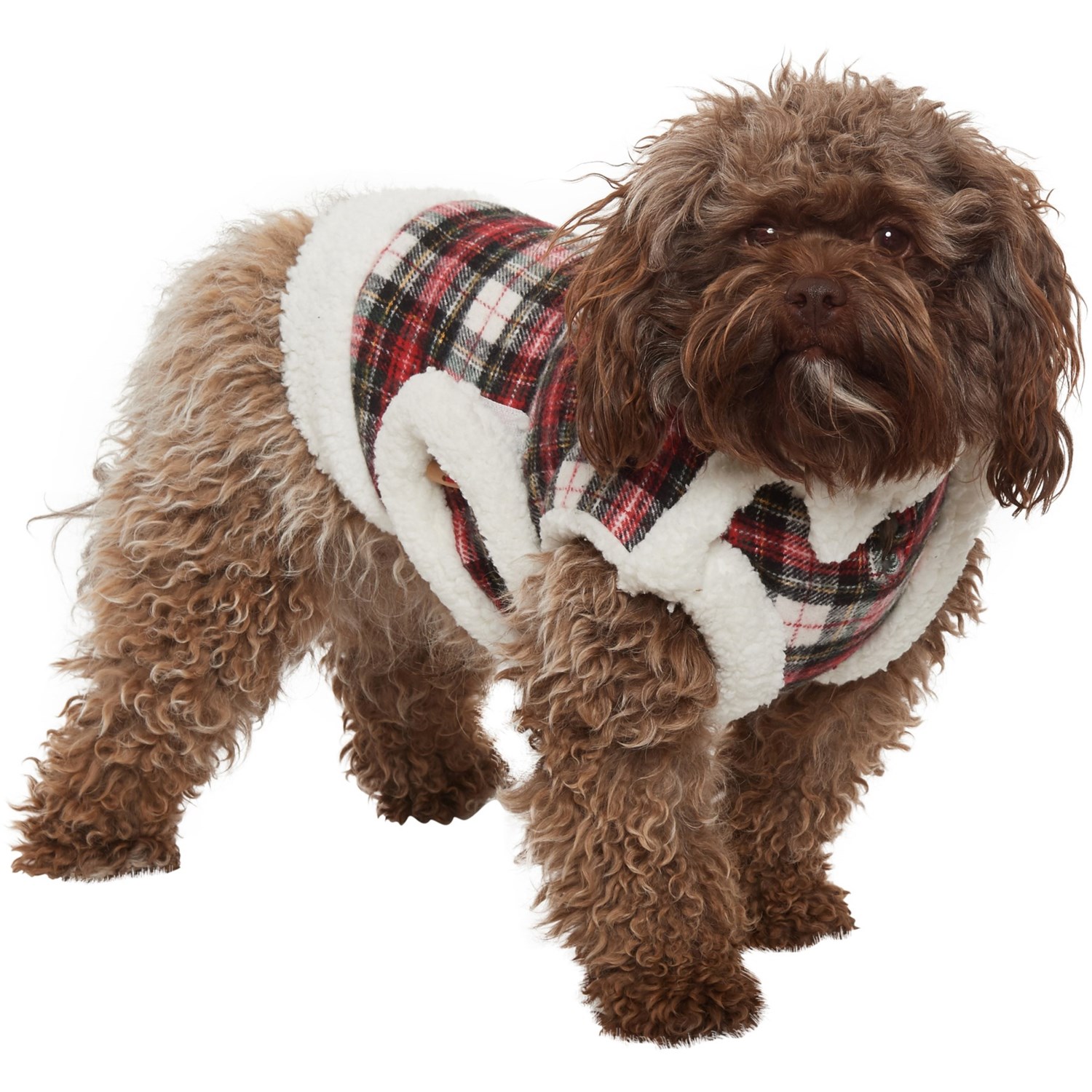 humane society dog jacket