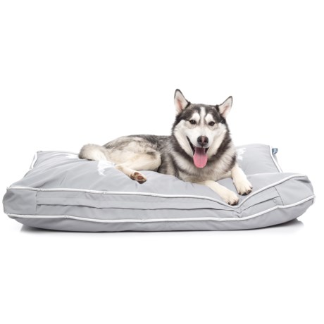 humane society world map marble rectangle dog bed 28x40 in marble