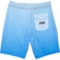 9CAWA_2 Hurley Big Boys Ombre Boardshorts