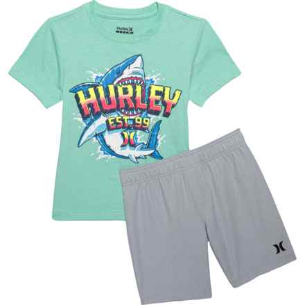 Hurley Little Boys Jersey T-Shirt and Woven Shorts Set - Short Sleeve in Wolf Gray