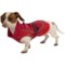 6527M_8 Hurtta Adjustable Raincoat For Dogs