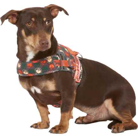 Hurtta Go Dog Harness in Sunset Red