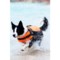 8813H_3 Hurtta Life Jacket for Dogs