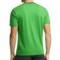 8095M_2 Icebreaker 150 Tech T-Lite Shirt - UPF 30+, Merino Wool, Short Sleeve (For Men)