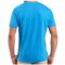 8115H_2 Icebreaker Drifter V-Neck T-Shirt - UPF 20, Merino Wool Blend, Short Sleeve (For Men)