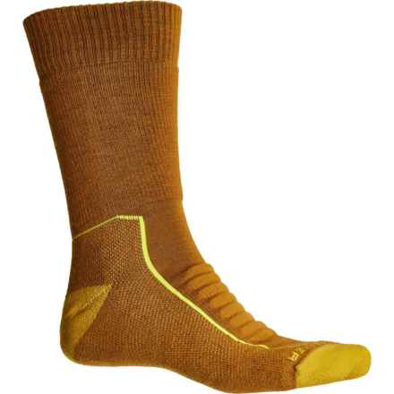 Icebreaker Heavyweight Hiking Socks - Merino Wool, Crew (For Men) in Clove/Silent Gold/Shine