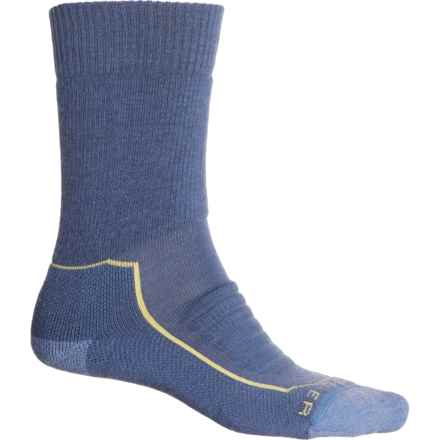 Icebreaker Heavyweight Hiking Socks - Merino Wool, Crew (For Men) in Dawn/Lcid/Kyant