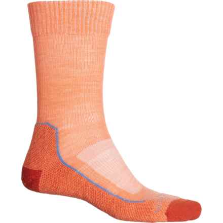 Icebreaker Hike Light Hiking Socks - Merino Wool, Crew (For Men) in Ember/Kyanite/Molten