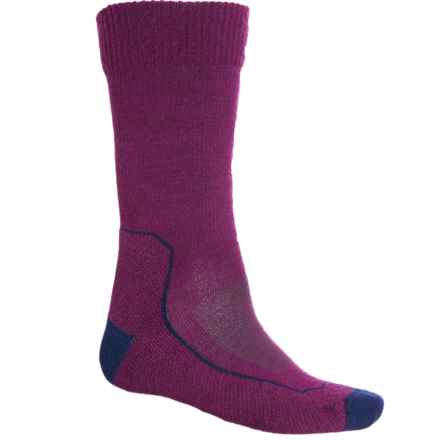 Icebreaker Hike Light Hiking Socks - Merino Wool, Crew (For Men) in Go Berry/Royal Navy/Monsoon