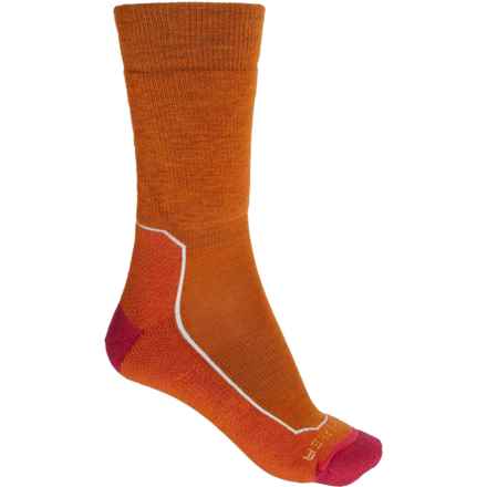 Icebreaker Hike Medium Hiking Socks - Merino Wool, Crew (For Women) in Earth/Electron Pink/Snow