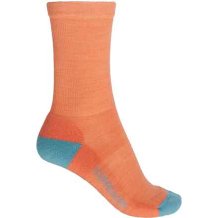 Icebreaker Lifestyle Light Cushion Socks - Merino Wool, Crew (For Women) in Ember/Cloud Ray