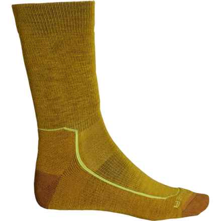 Icebreaker Medium Cushion Hiking Socks - Merino Wool, Crew (For Men) in Silent Gold/Clove/Shine