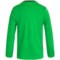 124NU_2 Icebreaker Tech Glass Mountain Shirt - Merino Wool, Long Sleeve (For Little and Big Kids)