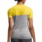 9674C_2 Icebreaker Tech Lite Color-Block T-Shirt - UPF 30+, Merino Wool, Short Sleeve (For Women)