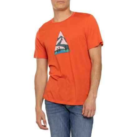 Icebreaker Tech Lite II Camping Grounds T-Shirt - Merino Wool, Short Sleeve in Vibrant Earth