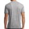 9676D_2 Icebreaker Tech Lite Playground T-Shirt - UPF 20+, Merino Wool, Short Sleeve (For Men)