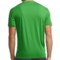 9673H_2 Icebreaker Tech Lite Seven Summits T-Shirt - UPF 20+, Merino Wool, Short Sleeve (For Men)