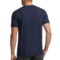 9676J_2 Icebreaker Tech Lite Valley T-Shirt - UPF 20+, Merino Wool, Short Sleeve (For Men)