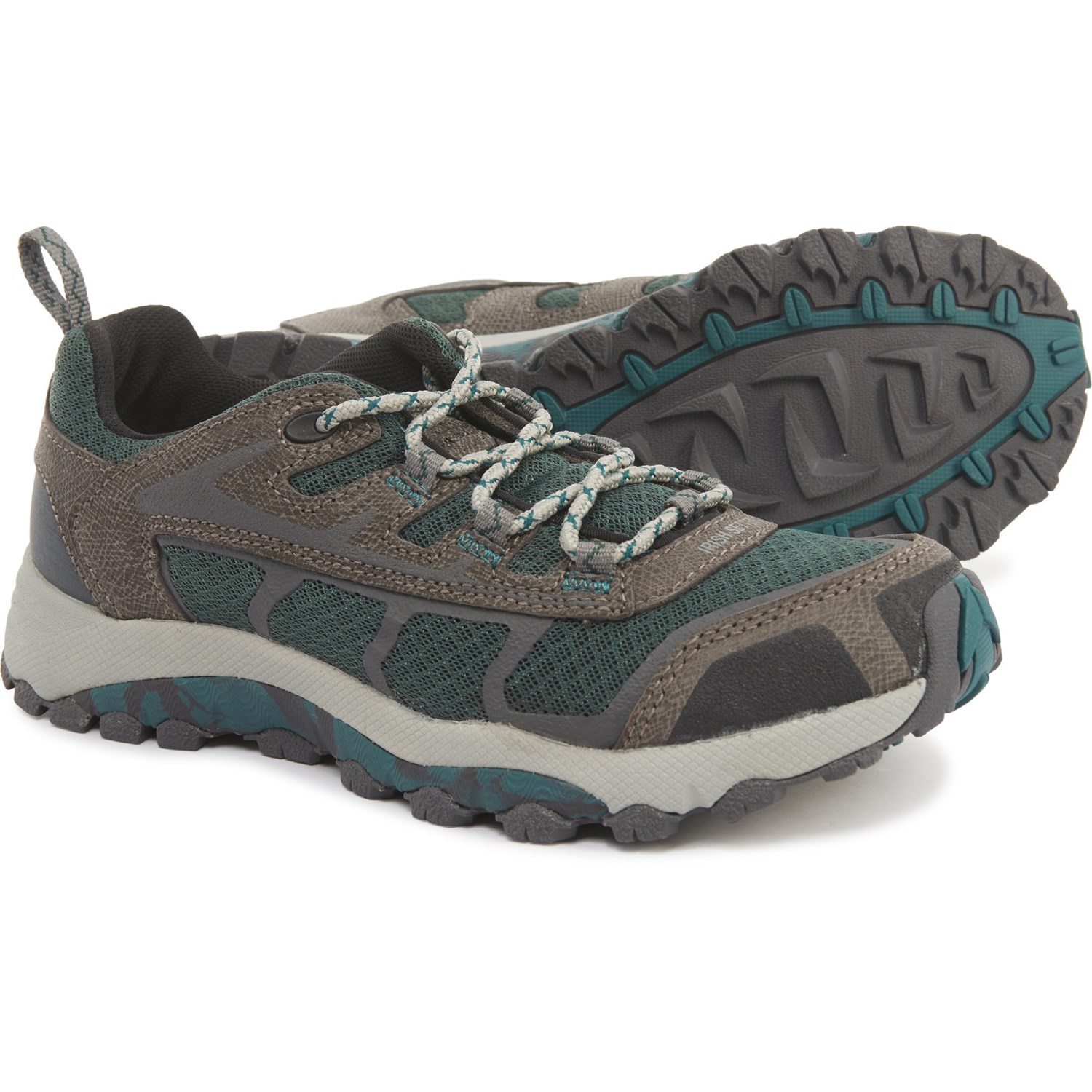 irish setter drifter