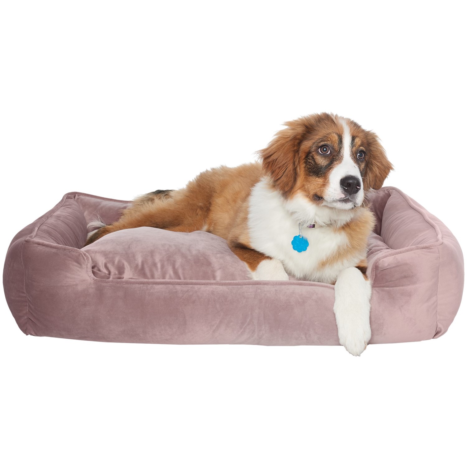 Jax & Bones Plush Velour Lounge Dog Bed - 34x27” - Save 50%