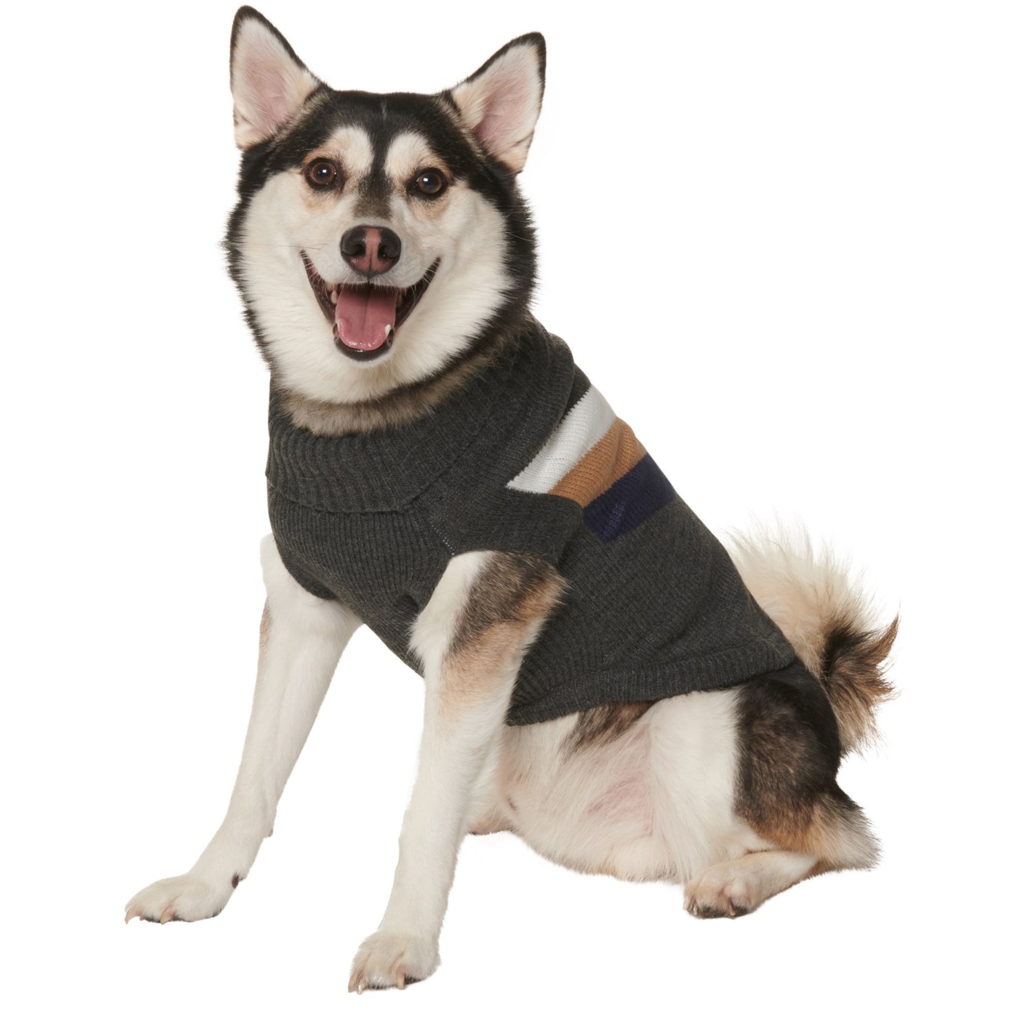 friends forever dog jacket