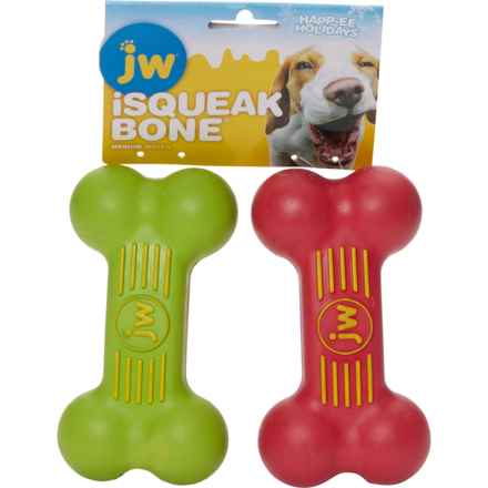 JW iSqueak Medium Dog Bone Set - 2-Pack in Multi