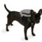 7KCUT_5 K9 Sport Sack Walk-On Packable Dog Carrier Backpack and Dog Harness
