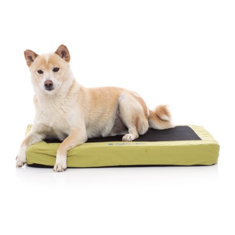 K&H Pet Products K&H Pet Comfy N\' Dry Indoor-Outdoor Pet Bed - 18x26 ... K&H Pet Products K&H Pet Comfy N\' Dry Indoor-Outdoor Pet Bed - 18x26 ...