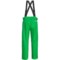 7881V_2 Karbon Earth Ski Pants - Waterproof, Insulated (For Men)