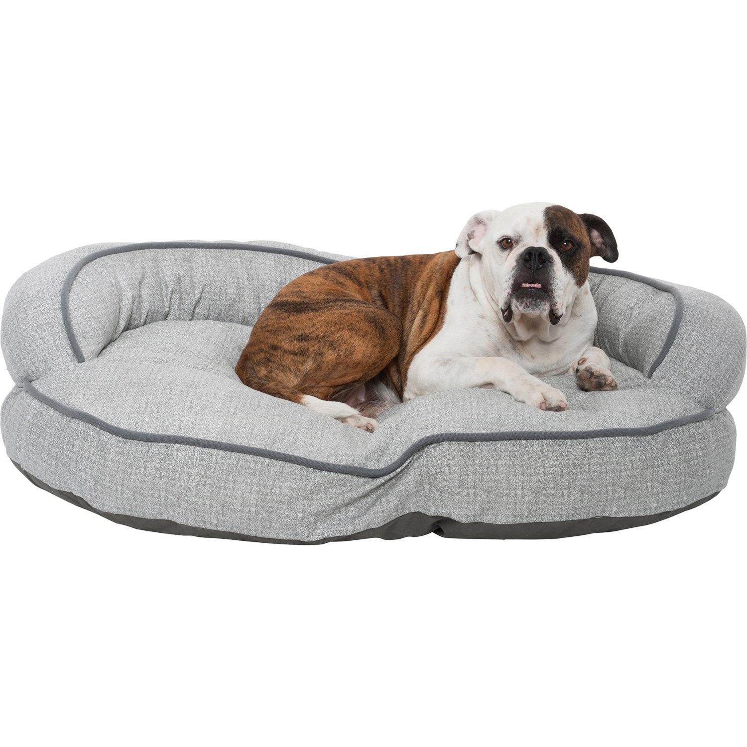 bolster dog bed