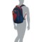 4AVXJ_3 Kelty Slate 30 L Backpack - Midnight Navy-Red Ochre