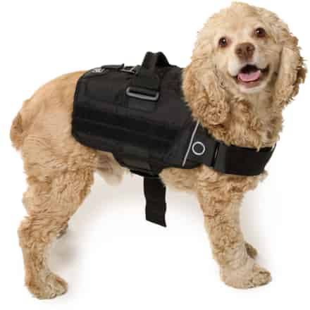 Kurgo - RSG Townie Dog Harness