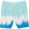Lands' End Little Boys Swim Trunks in White