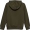 802AM_2 Levi's Batwing Hoodie (For Big Boys)