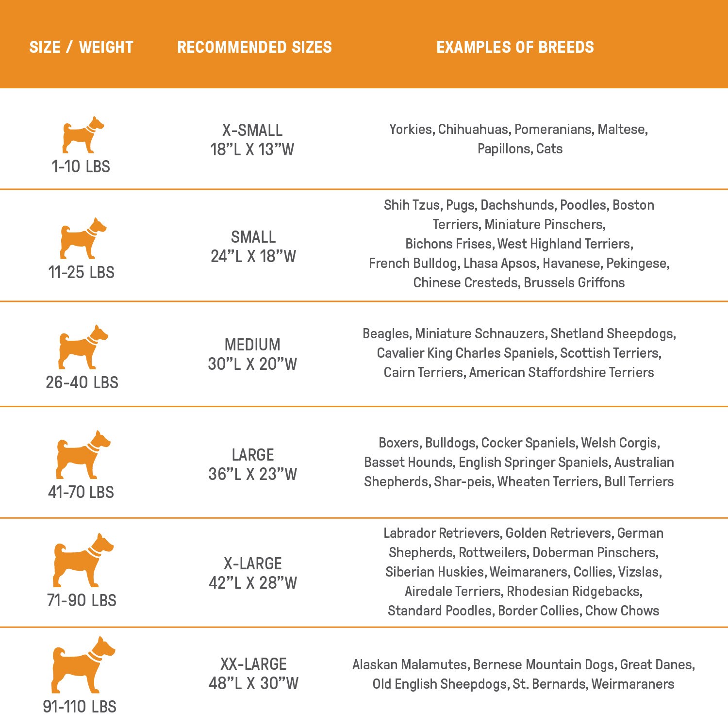 Imagen de producto 2