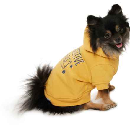 Life is Good® Fleece Dog Hoodie - Small in Pawsitive Vibes