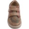 259WH_6 Livie & Luca Twig Ash Sneakers (For Infants and Toddlers)