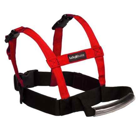 Lucky Bums Grip N Guide Sport Trainer Harness (For Boys and Girls) in Red/Black