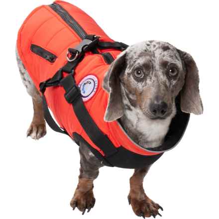 Luv Gear Quilted Harness Dog Jacket in Red