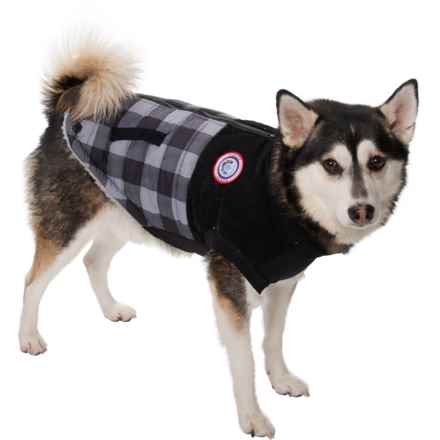 Luv Gear Sherpa-Lined Dog Coat in Grey