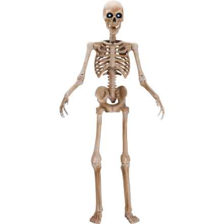 Martha Stewart Plastic Skeleton with LED Eyes and Sound Sensor - 8’ in Multi